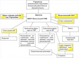 Единоличным исполнительным органом Учреждения является директор,  который осуществляет текущее руководство деятельностью Учреждения.